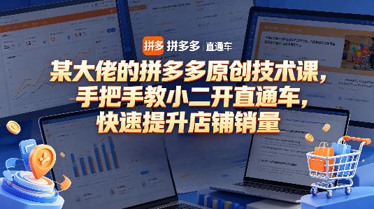 某大佬的拼多多原创技术课，手把手教小二开直通车，快速提升店铺销量-网创资源