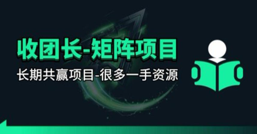 【团长合作】视频矩阵项目_招发手矩阵+剪辑师，共赢项目【揭秘】-网创资源