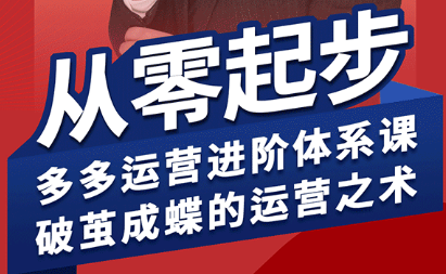 海神·拼多多运营进阶系统课(更新2026)-网创资源