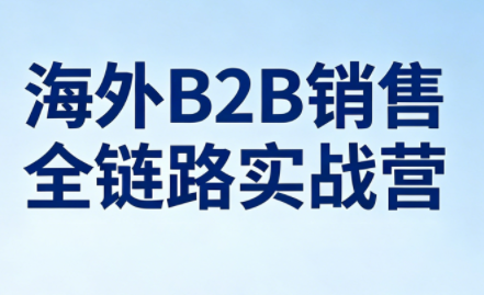 雨哥·海外B2B销售全链路实战营-网创资源