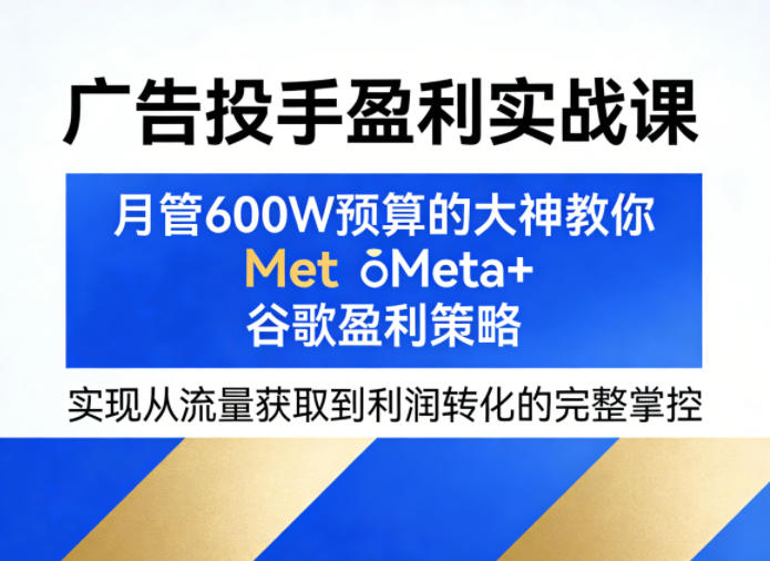 广告投手盈利实战课，月管600W预算的大神教你Meta+谷歌盈利策略，实现从流量获取到利润转化的完整掌控-网创资源